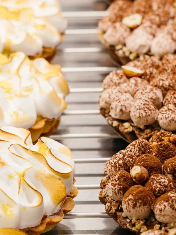 Manlios©Avaelys-SG-16