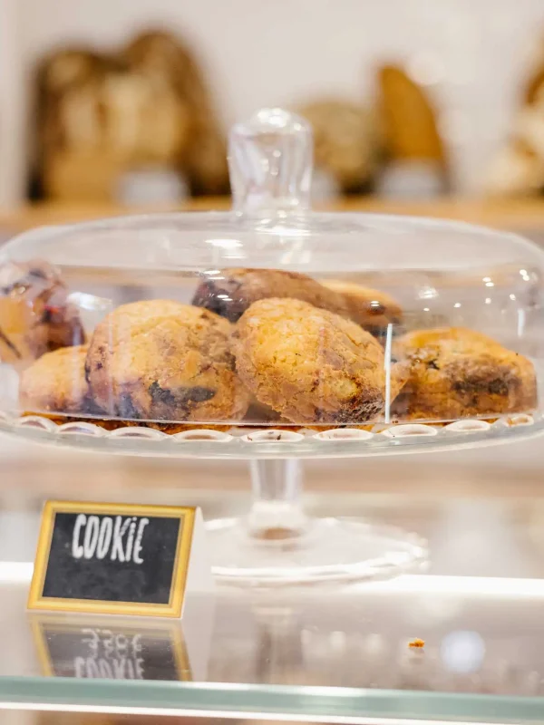 Manlios©Avaelys-SG-9